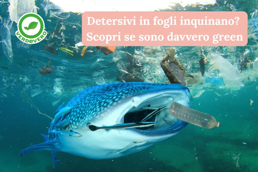 Detersivi in fogli